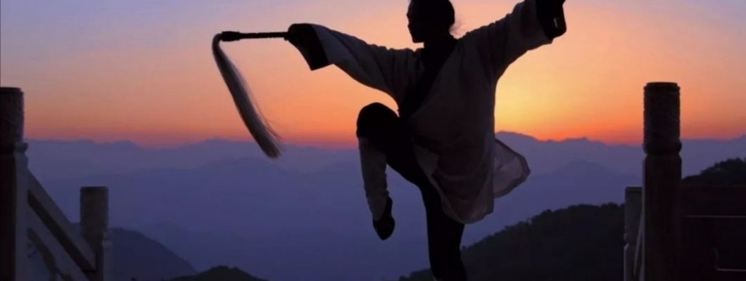 Kung Fu y Wing Chun Unisex JIJIe Zapatos de Artes Marciales Tradicionales Chinas Tai Chi Qi Gong 